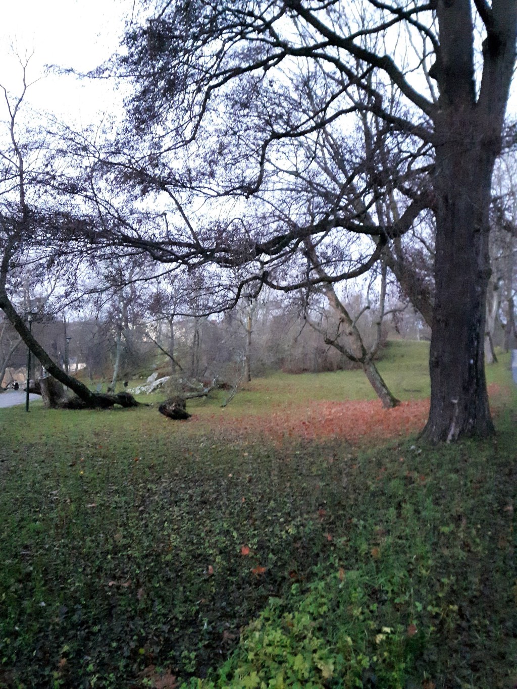 Thoughts about Tapestry inspired by a visit to&nbsp;Waldemarsudde