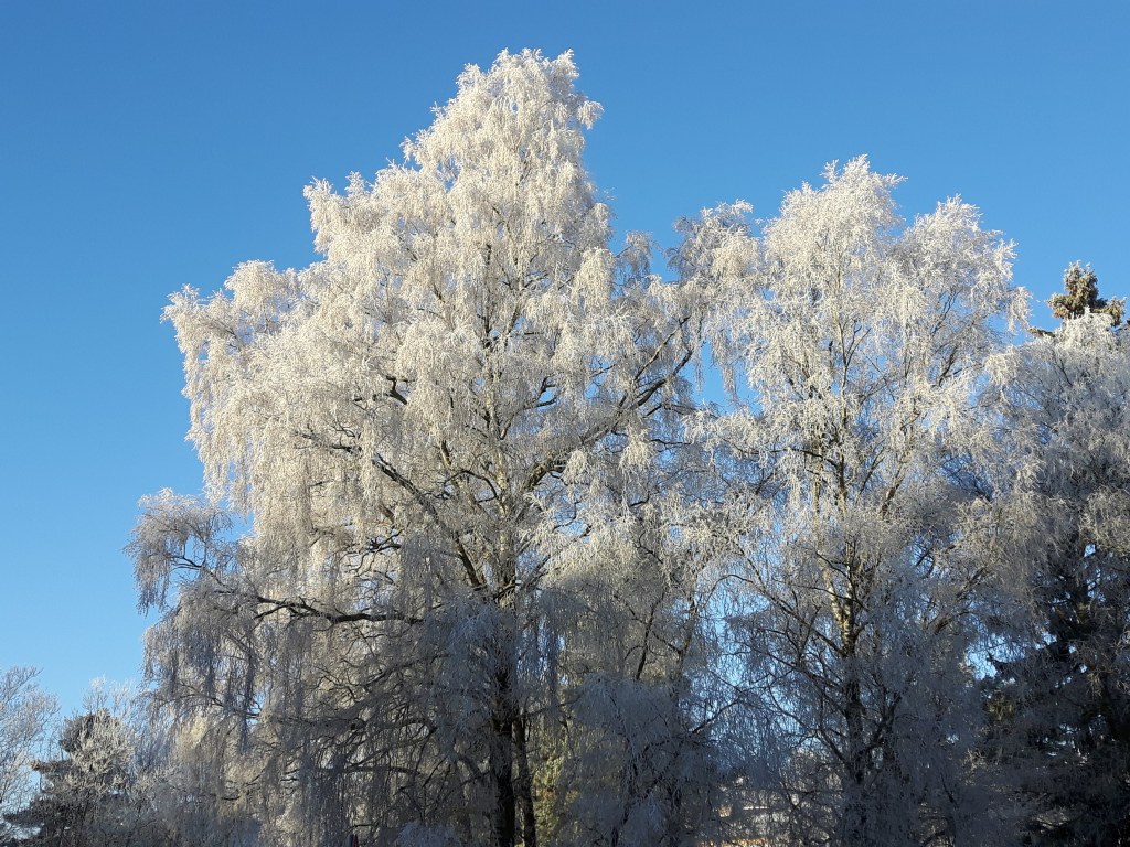 Silver rings, struggling with embroidery and thoughts about textile in&nbsp;history