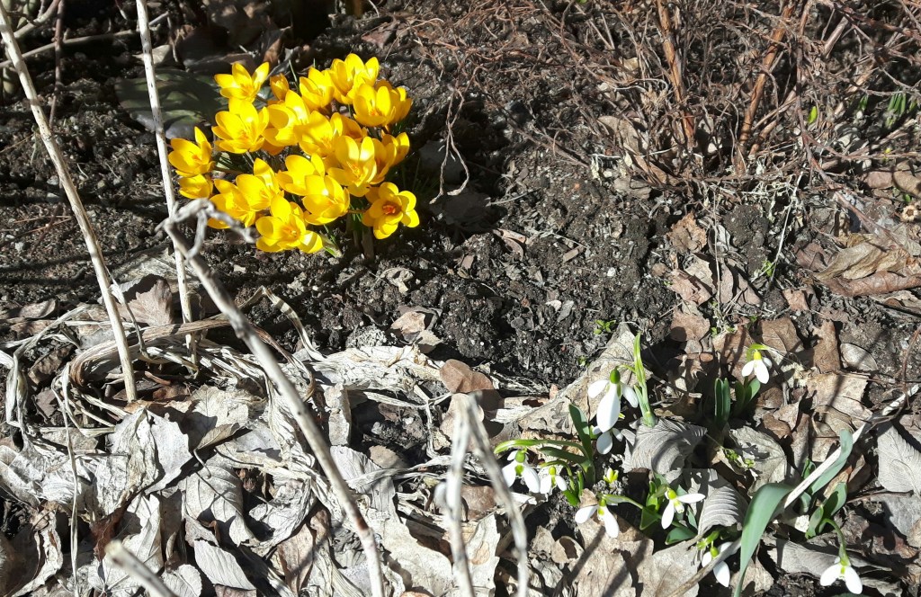 April- spring is&nbsp;here!