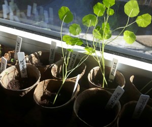 IMG_20180412_162913_844