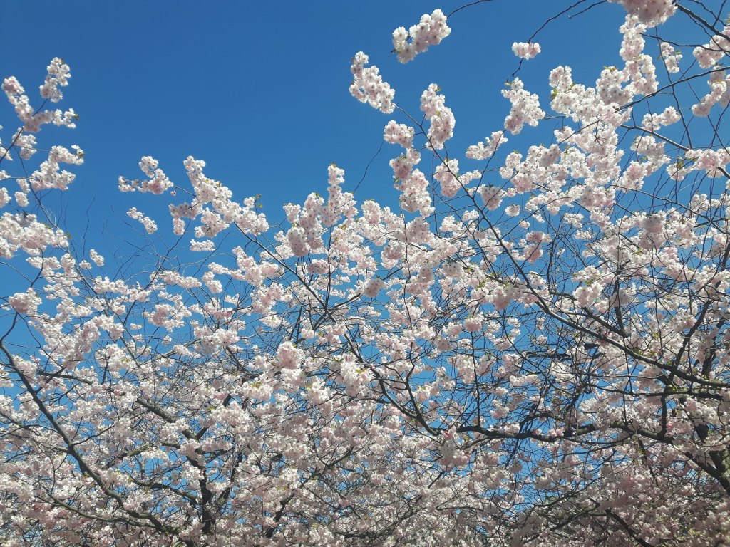 A discovery: Swedish blue&nbsp;slag