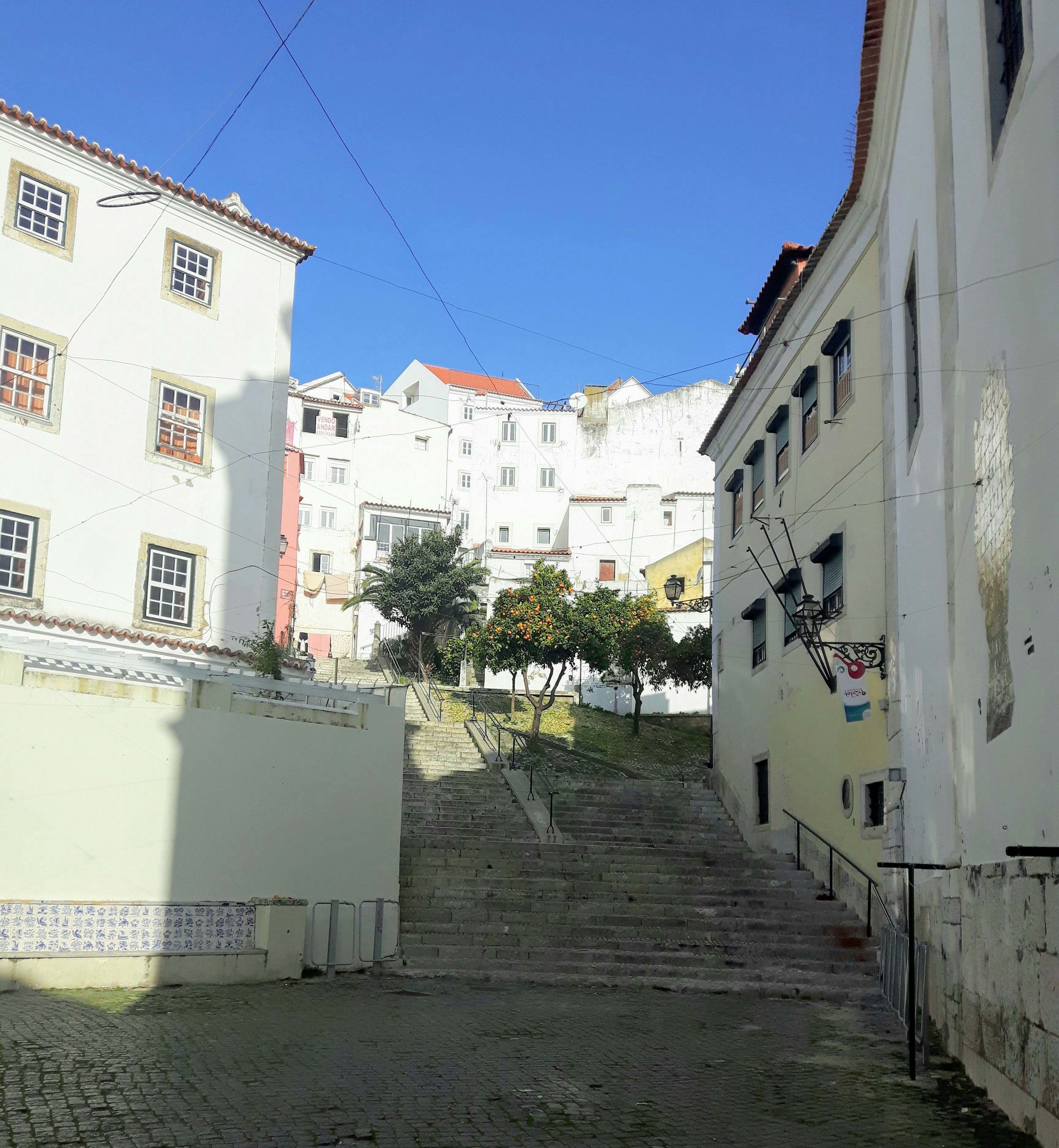 IMG_20190323_221632_921