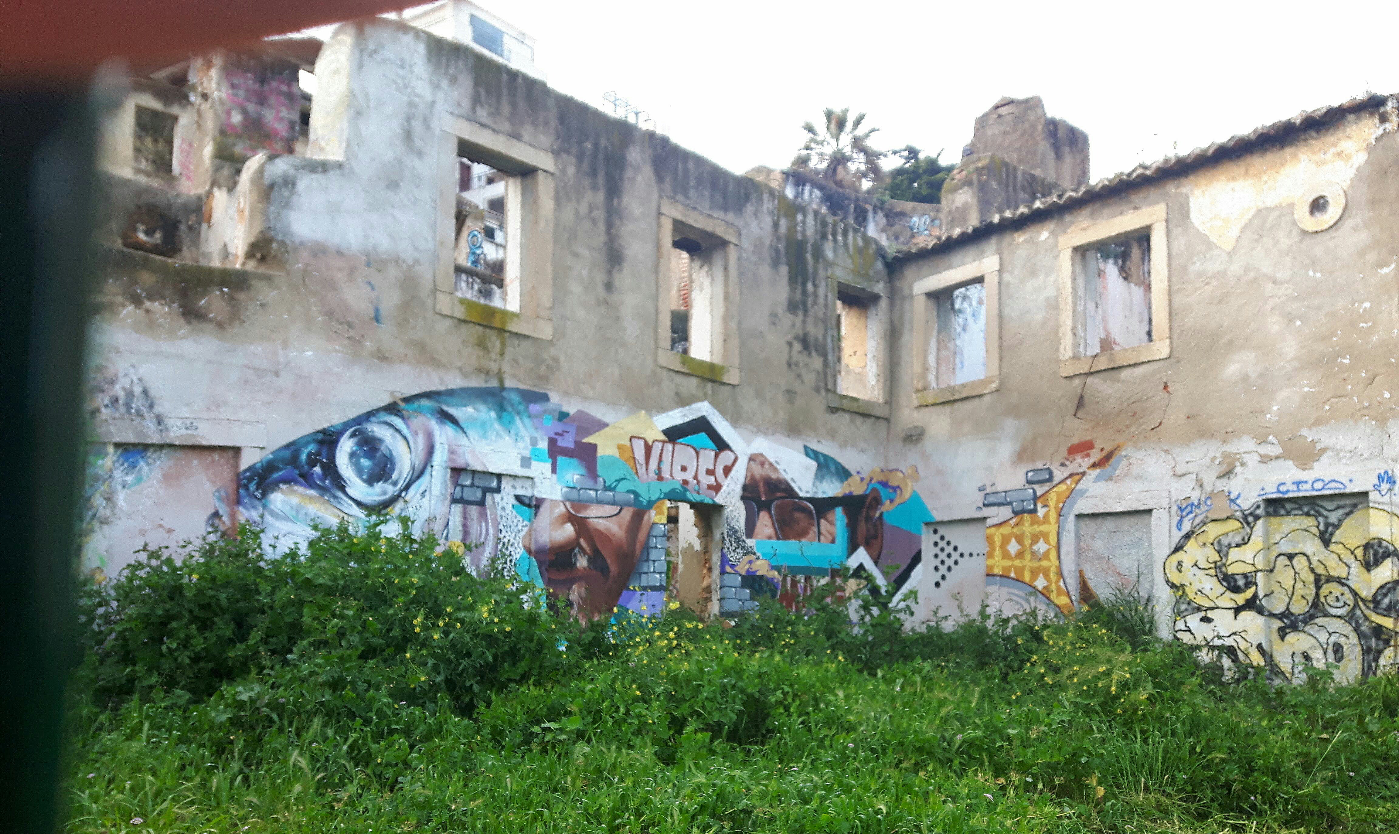 IMG_20190323_232019_952