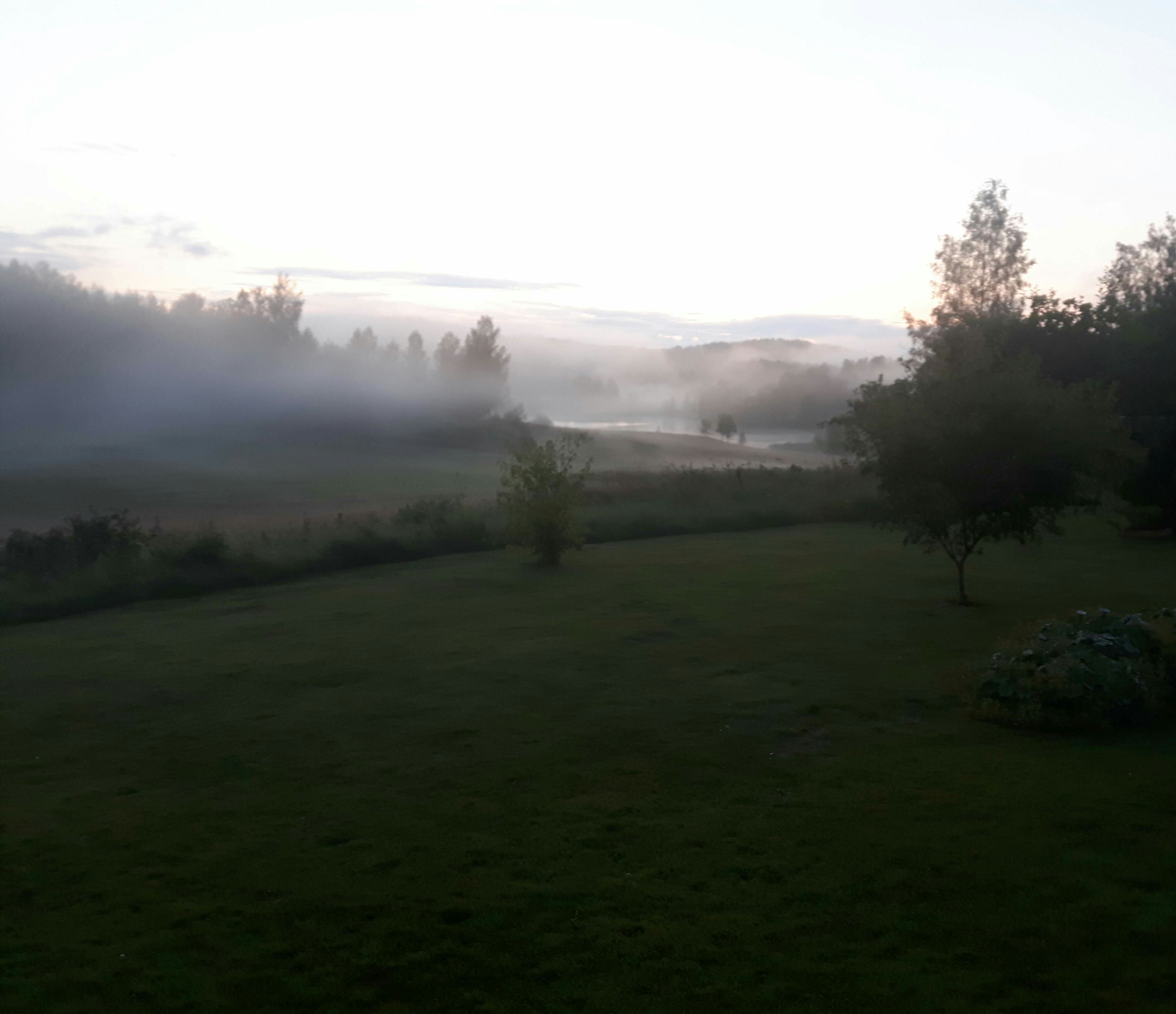 IMG_20190725_185443_522