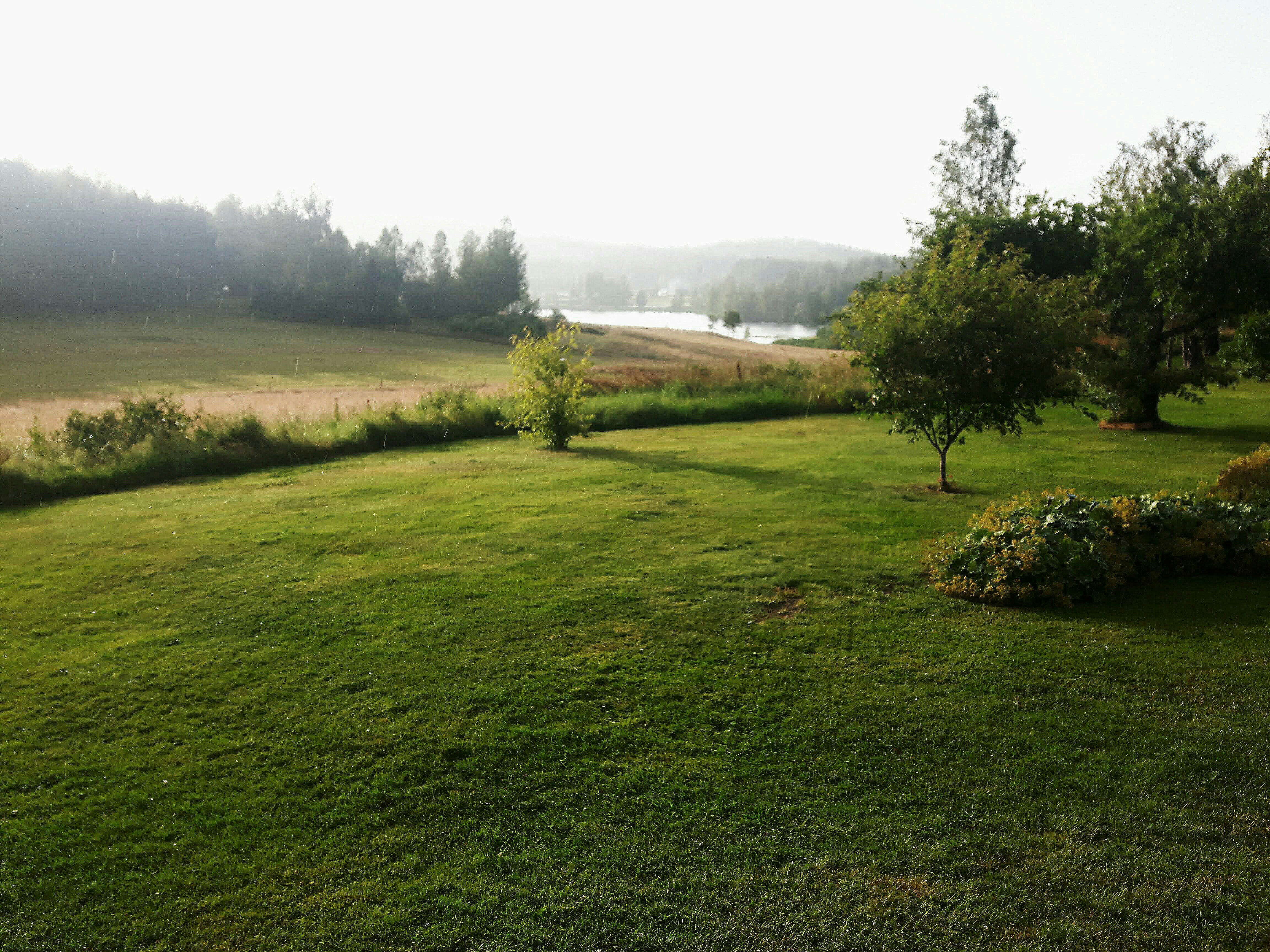 IMG_20190725_185841_295